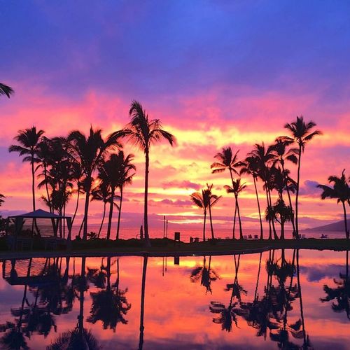 Sunset pool view at Andaz in Maui