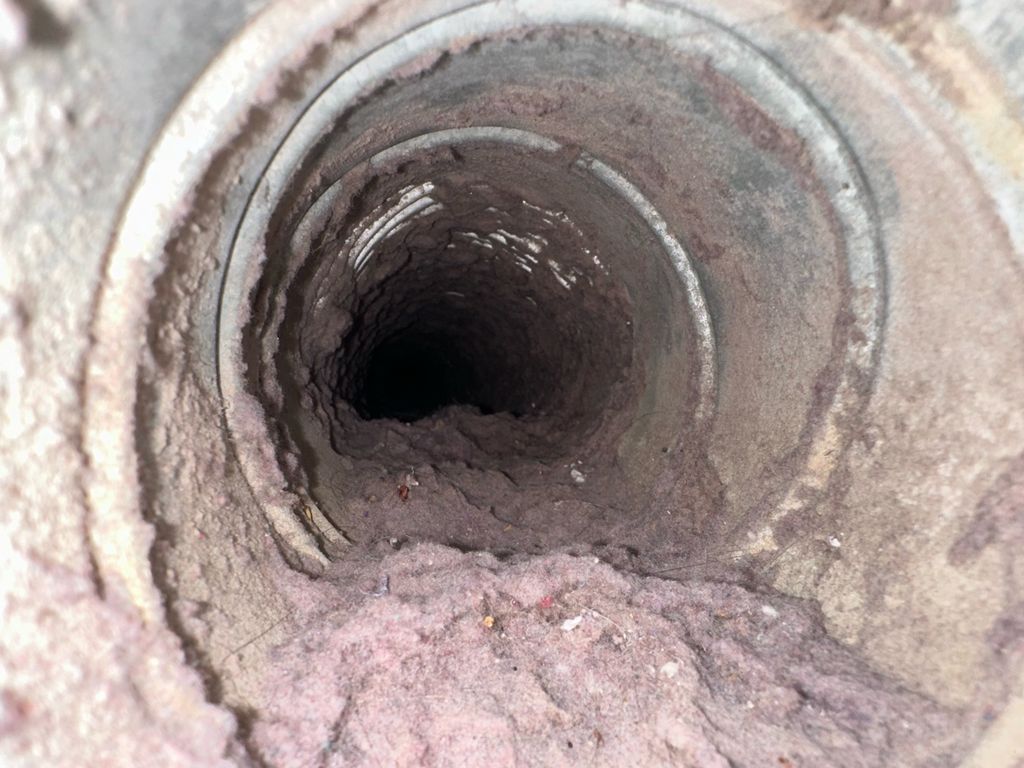 Dirty dryer vent