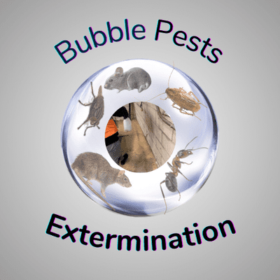 Avatar for Bubble Pests