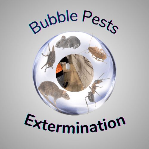 Bubble Pests