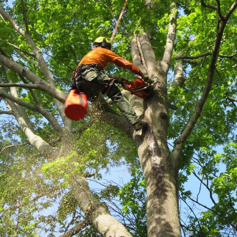 All Around Tree Service