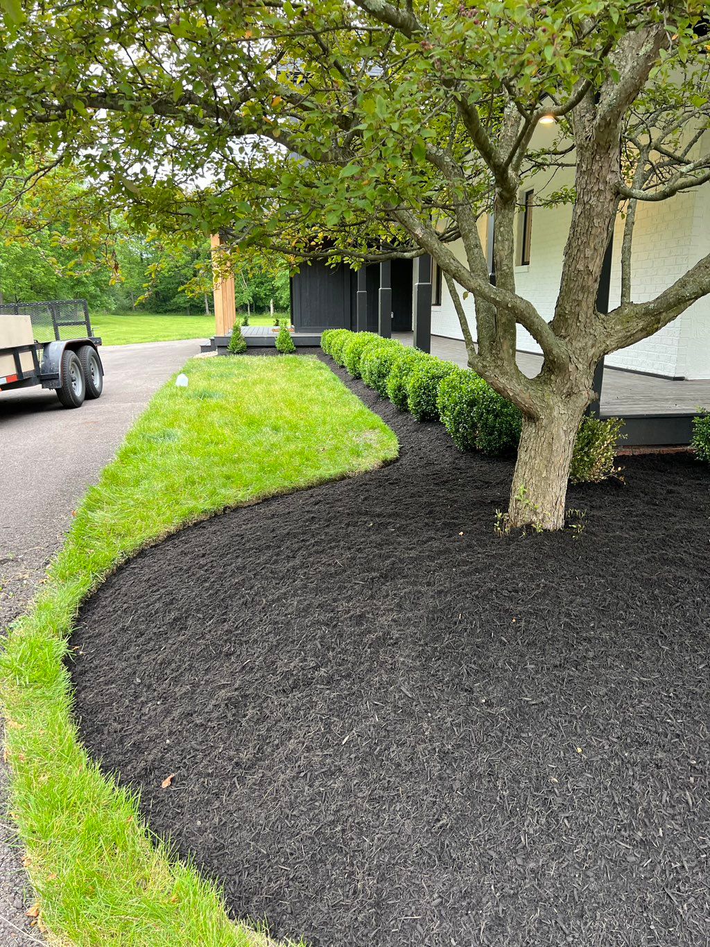 Finished project after edging beds and adding mulc