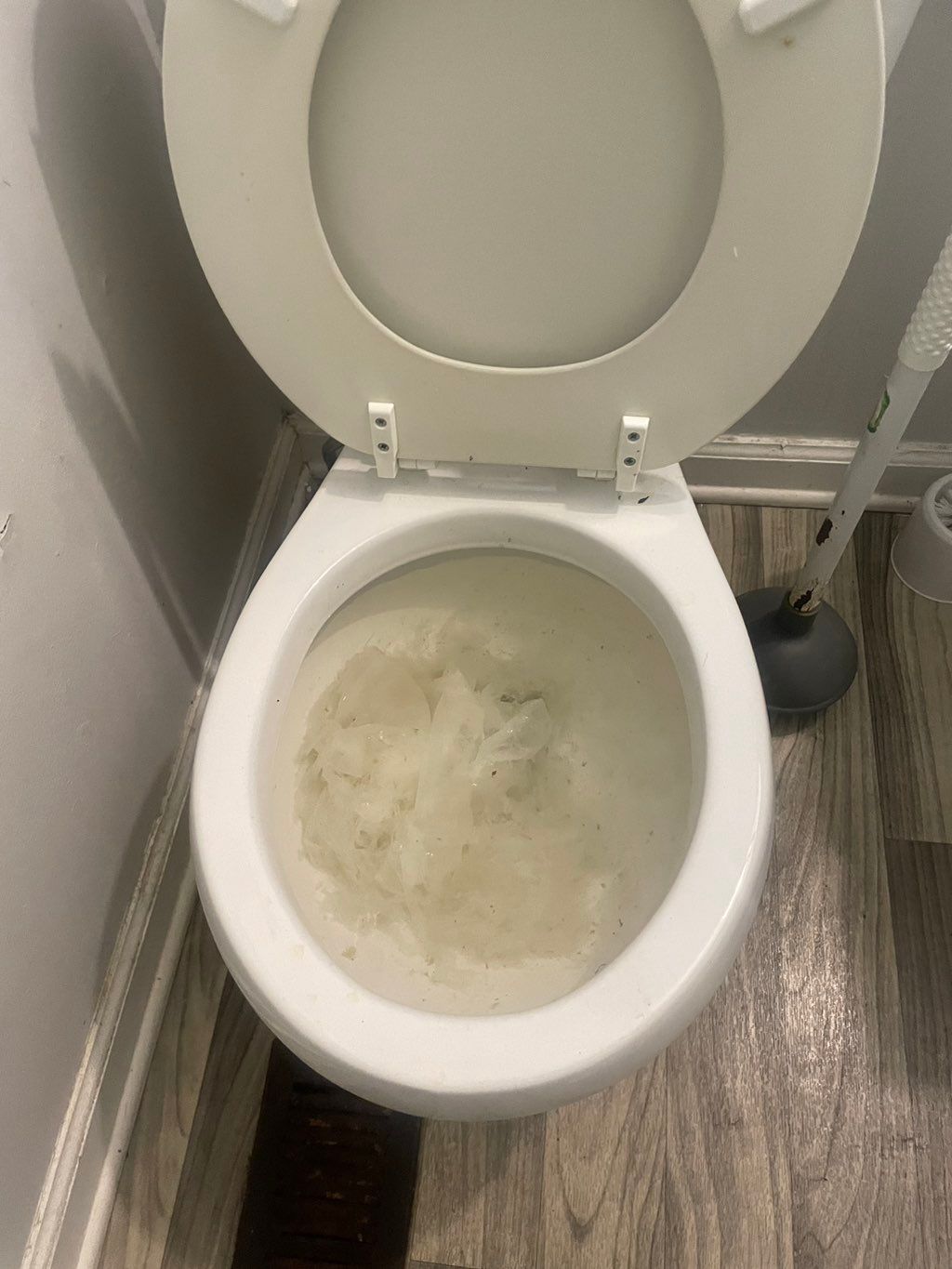 Clogged toilet due to a toothbrush 