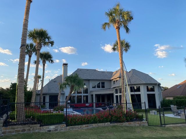 Tropical Gardens and Palms