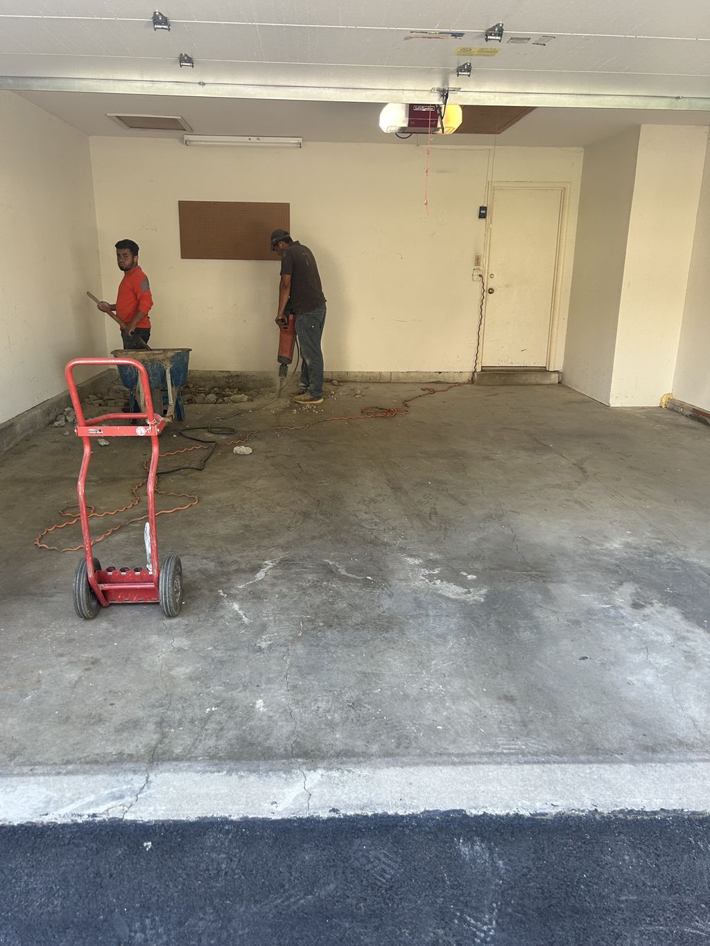 Projects and media