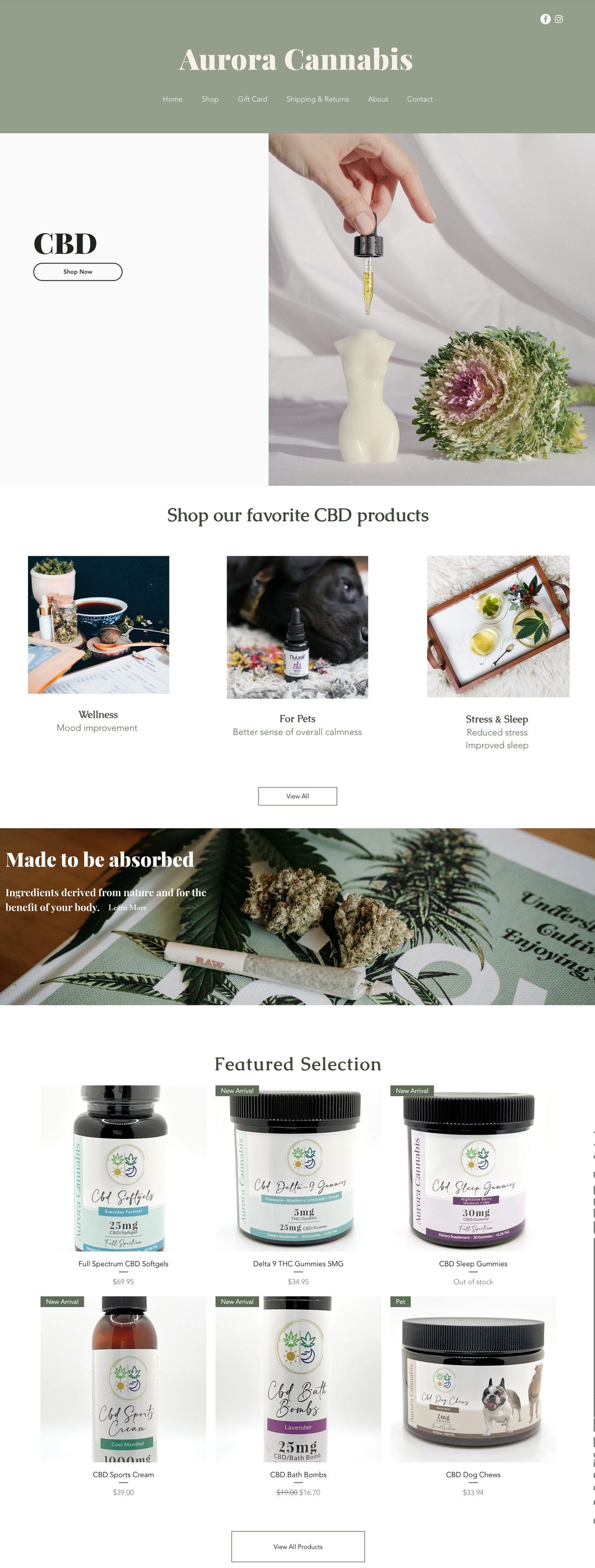 Projects and media