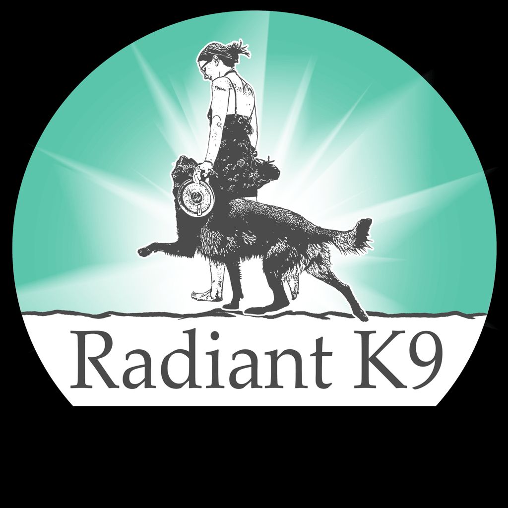 Radiant Canine Training & Walking