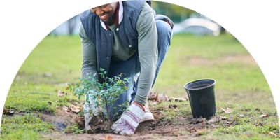 2025 Tree Planting Costs | Get Estimates