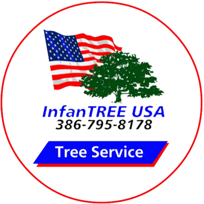 Avatar for InfanTree USA Tree Service