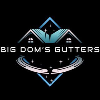 Avatar for Big Dom’s Gutters