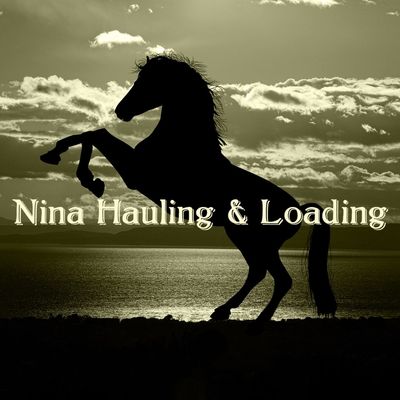 Avatar for Nina Hauling and Loading