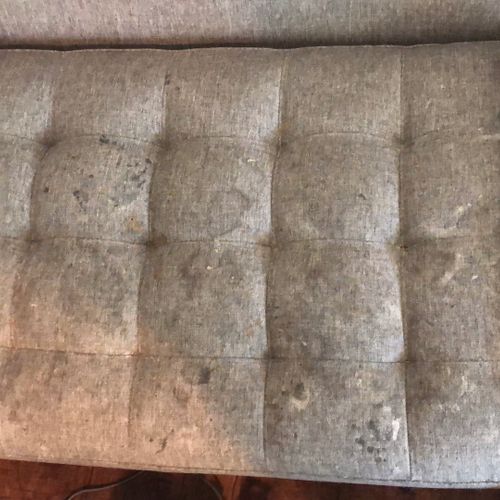 Upholstery and Furniture Cleaning