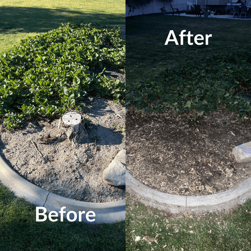 Tree Stump Grinding and Removal