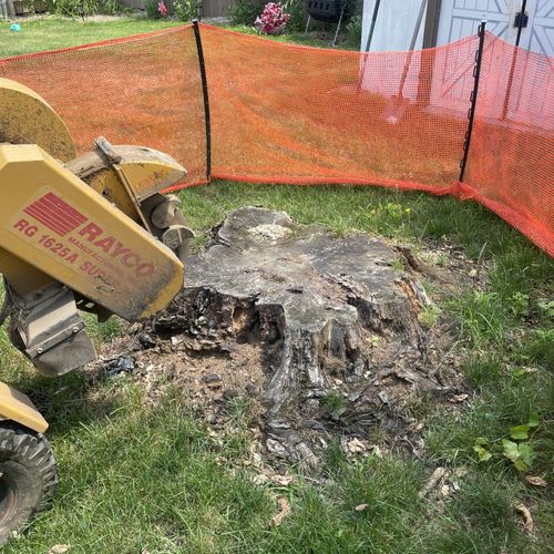 Tree Stump Grinding and Removal