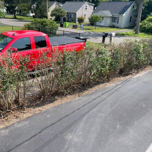 We hired Jeff to clean up and trim some hedges tha