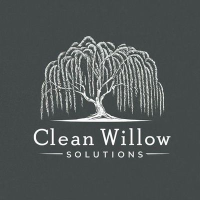 Avatar for Clean Willow Solutions