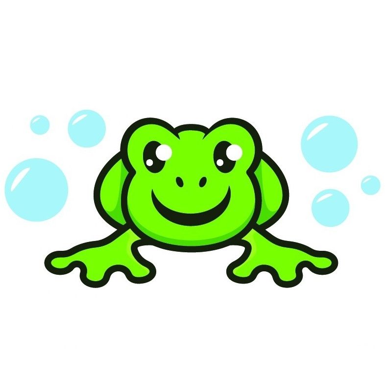 Soapy Frog Exterior Services