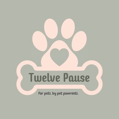 Avatar for Twelve Pause