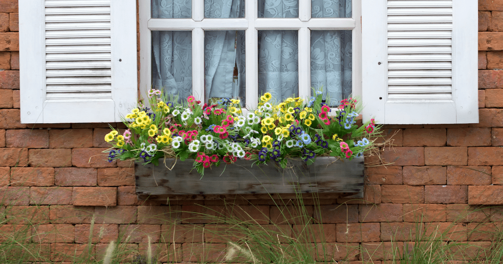 window box on house