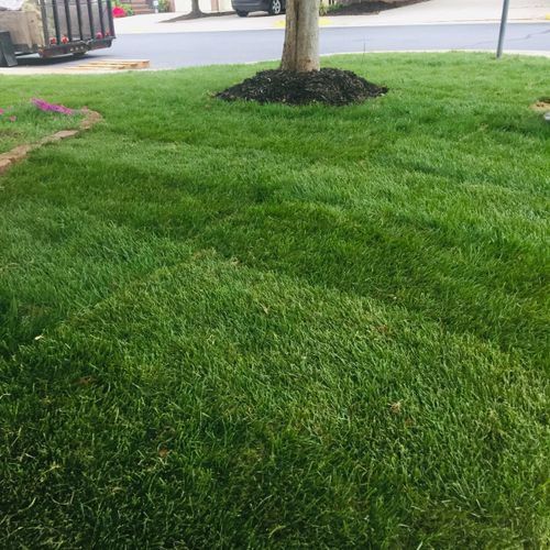 Landscaping Free Estimates