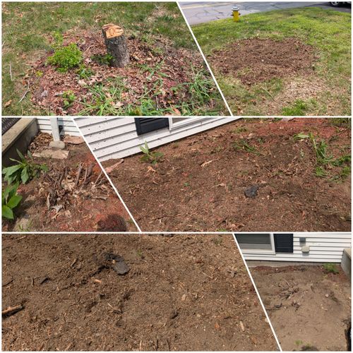 Tree Stump Grinding and Removal