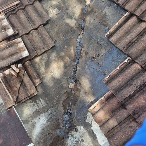 Roof Repair or Maintenance