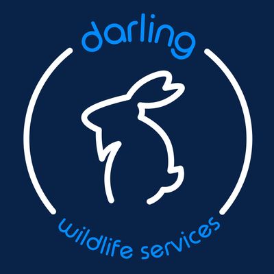 Avatar for Darling Wildlife Services