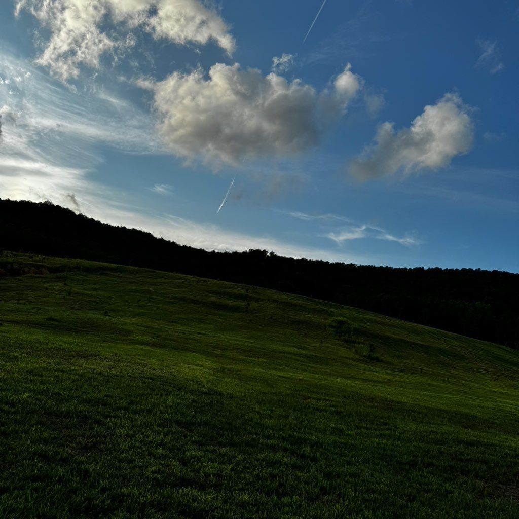 Cornejo landscape