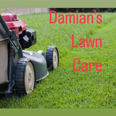 Avatar for Damian’s lawn care
