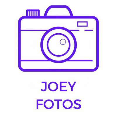 Avatar for Joey Studios