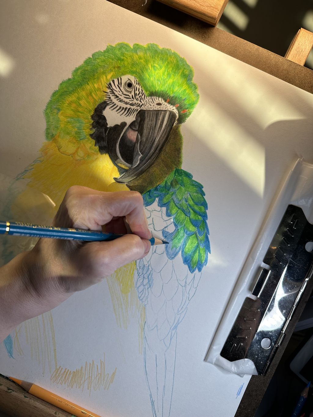Projects and media