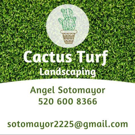 Cactus Turf Landscape