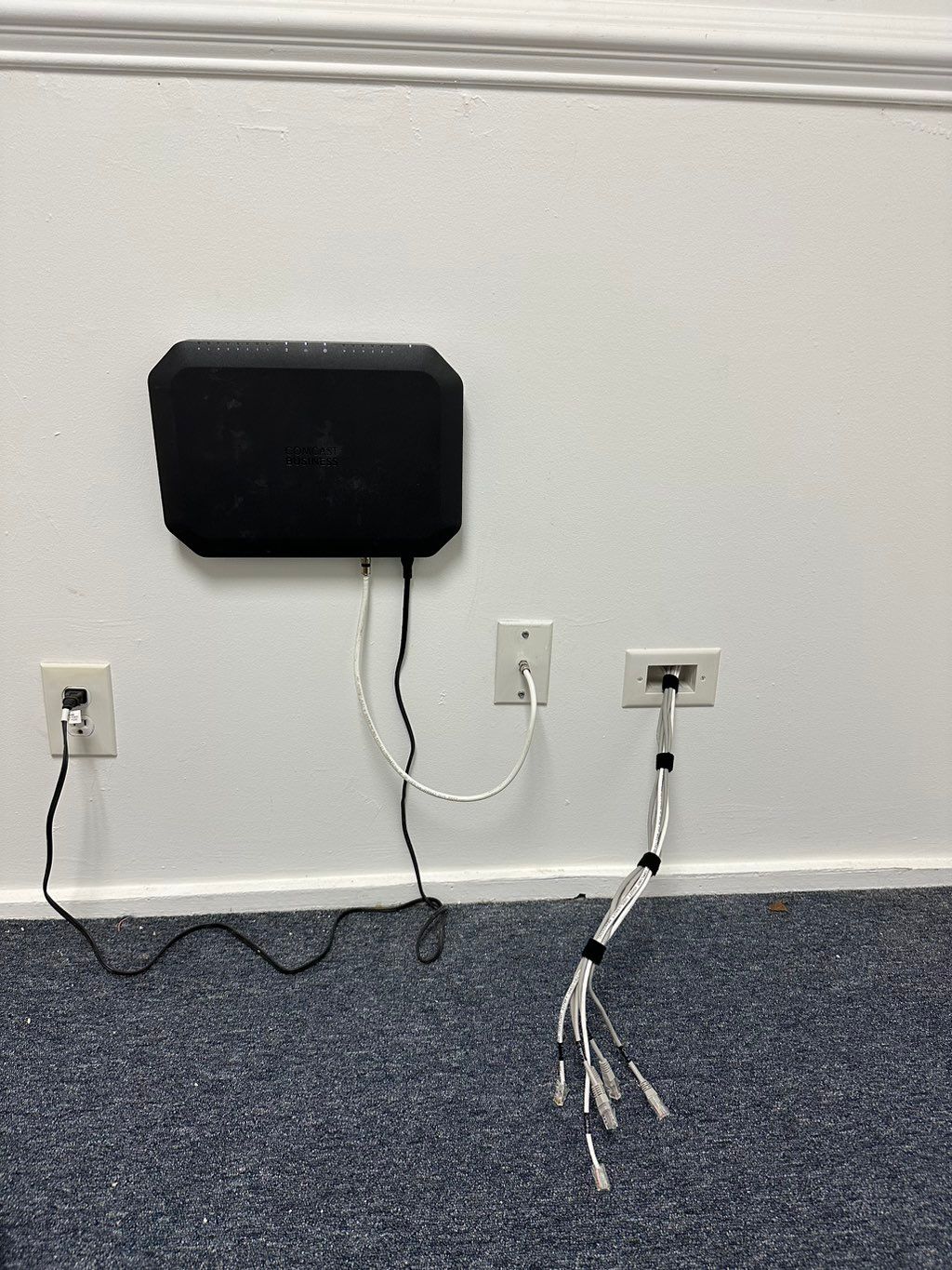 Projects and media