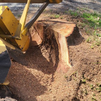 Avatar for Quality Stump Removal And Land Services LLC