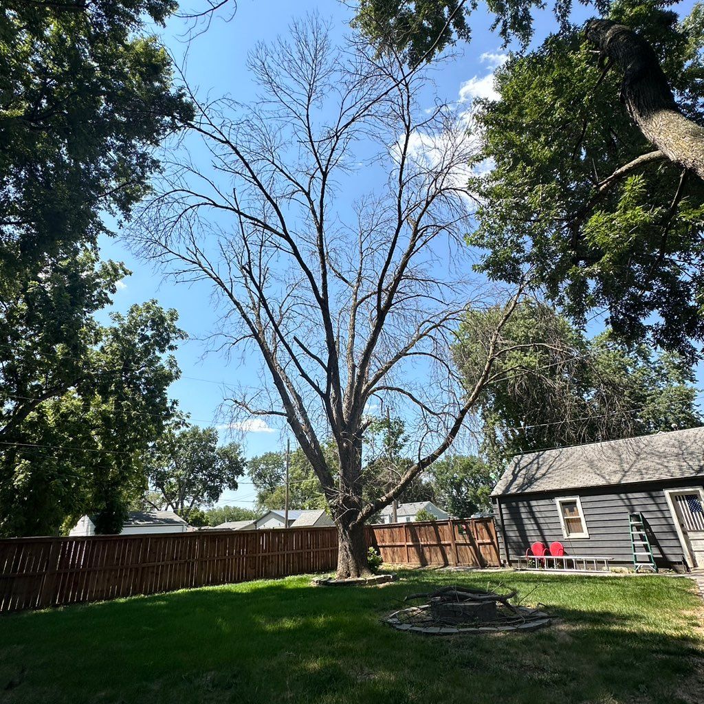 Antonio Marroquín Tree Service