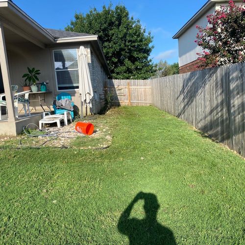 Lawn Mowing and Trimming