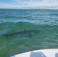 Bamm's HVAC and Plumbing