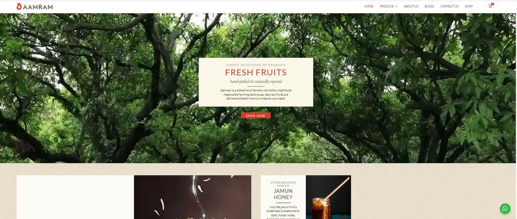 Web Design Website