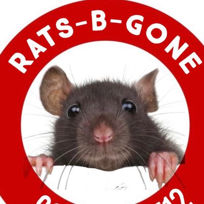 Avatar for Attic Plus Rodent Proofing