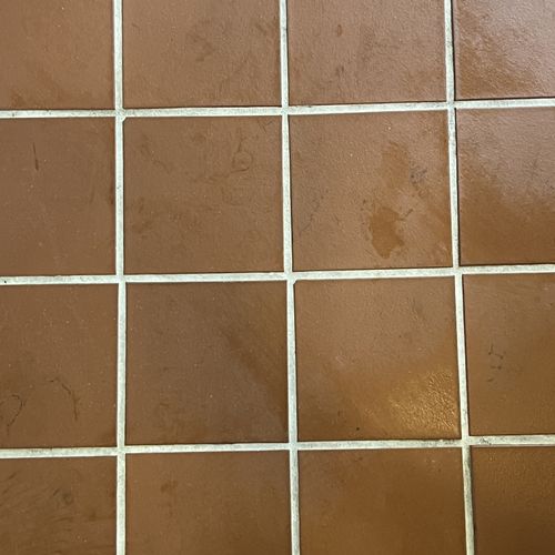 Tile and Grout Cleaning