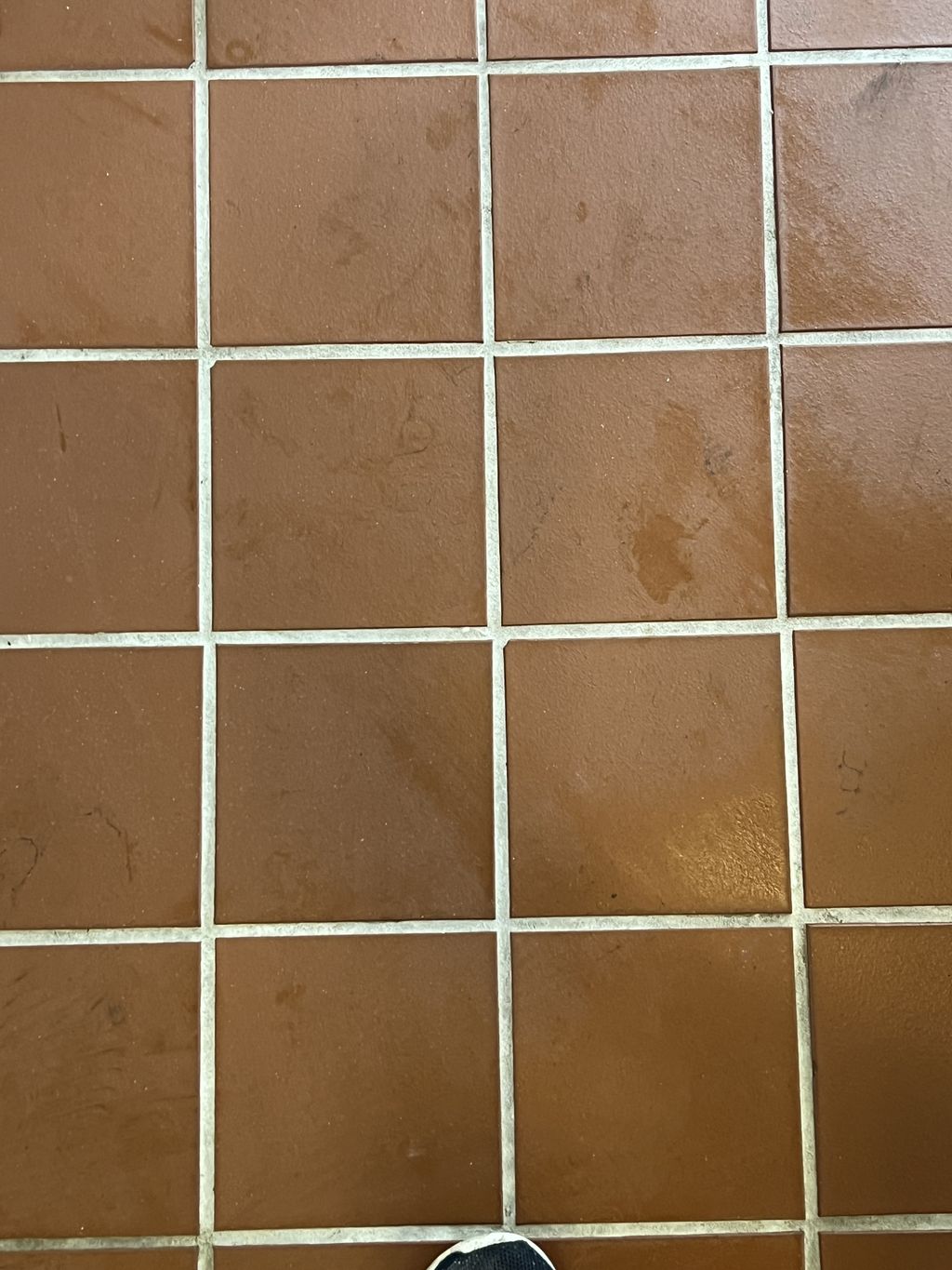 Tile and Grout Cleaning