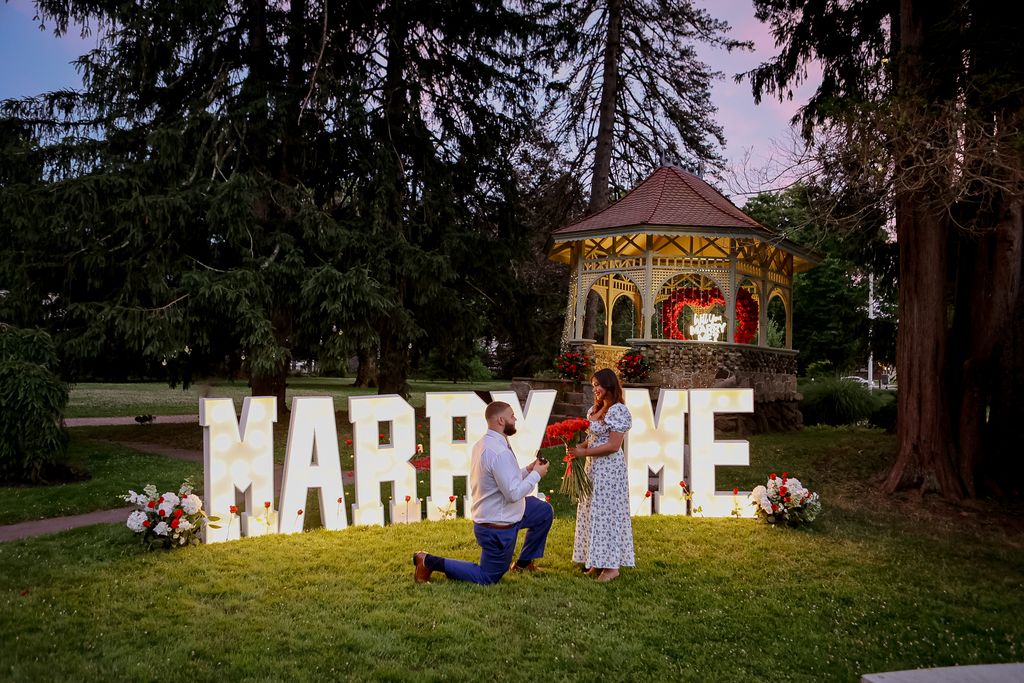 Engagement Photography