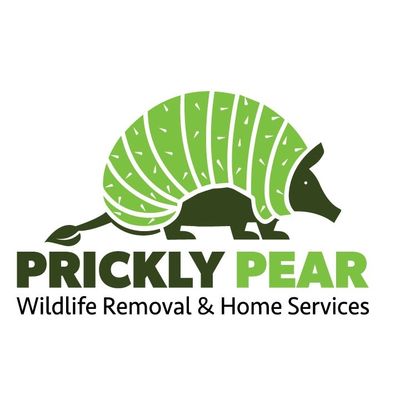 Avatar for Prickly Pear Wildlife Removal and Home Services