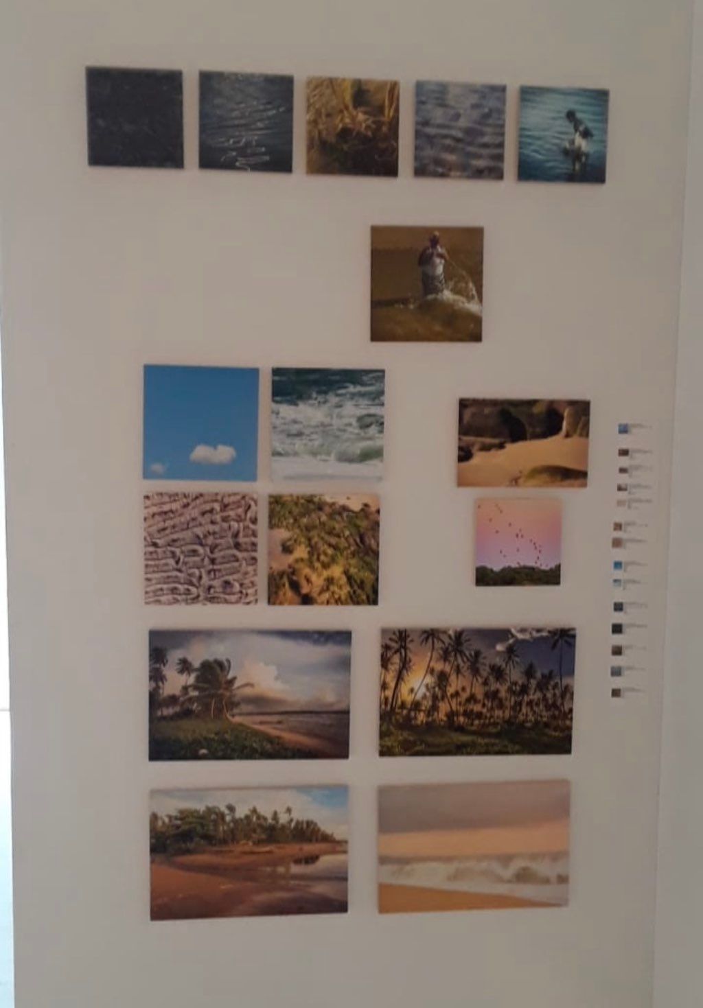 Projects and media