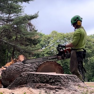 Avatar for Fast Acting Tree Care