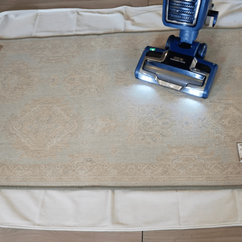 Carpet Cleaning