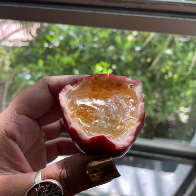 Avatar for Divine Imbibe