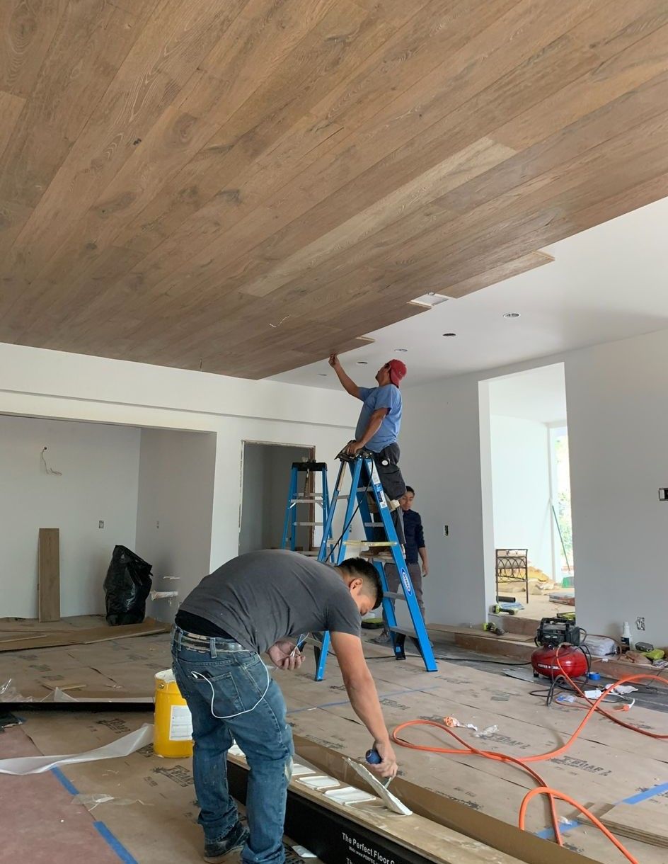 Projects and media
