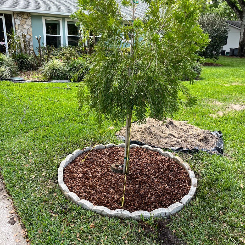 Cali and Sons Lawn Service LLC