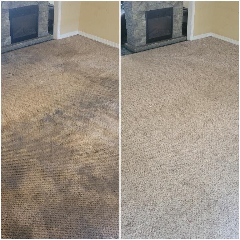 I am truly impressed with the carpet cleaning serv